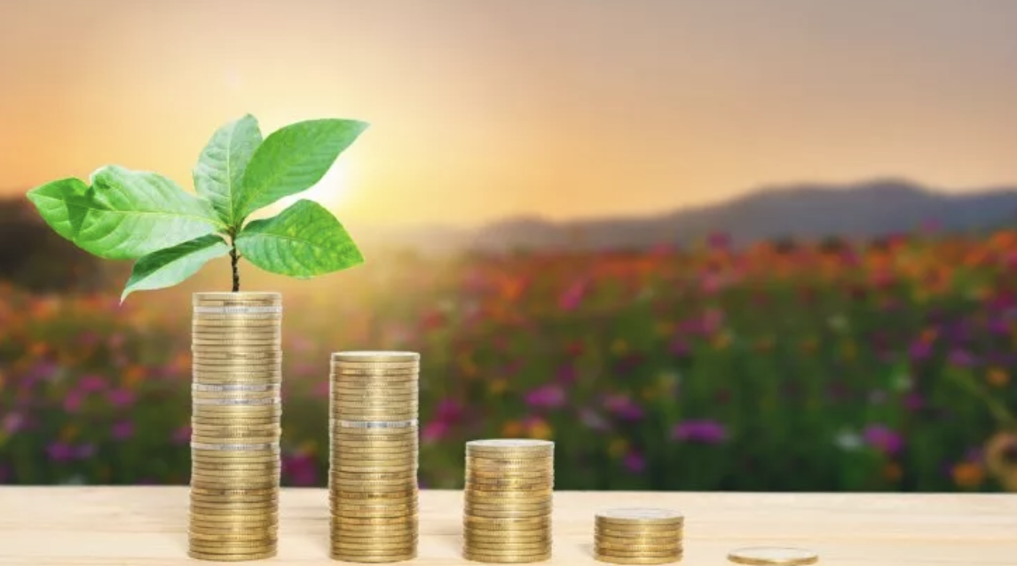 Esg, la transizione sostenibile della finanza